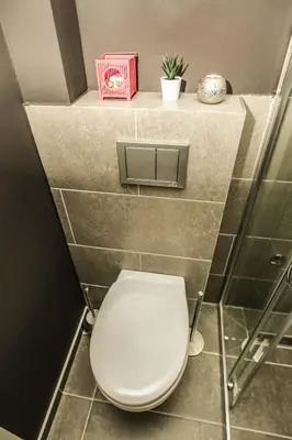 a bathroom with a toilet and a shelf with a plant at Polar Apartments Banja Luka LPIJ in Banja Luka