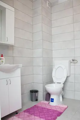 a bathroom with a toilet and a pink rug at Stan na dan Doboj in Doboj