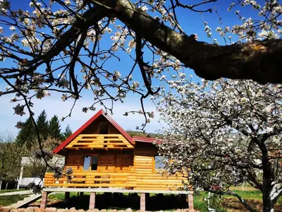 a log cabin with flowering trees in the foreground at Wooden House 