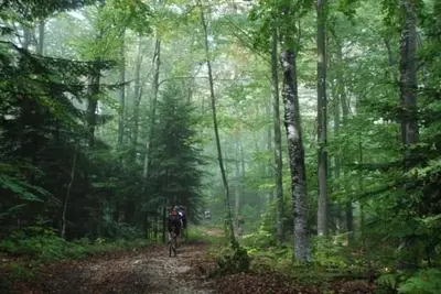 a person riding a bike down a trail in the woods at Wooden House 