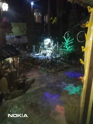 a night view of a market with lights at tree house in Visoko