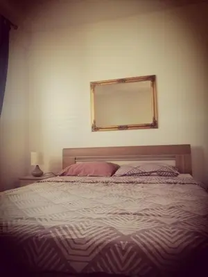 a bedroom with a bed with a mirror on the wall at Spa apartman Iva in Banja Luka