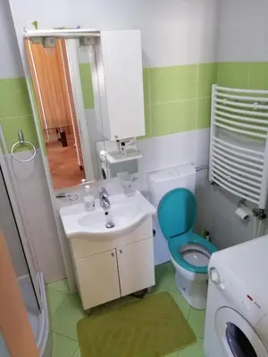 a bathroom with a sink and a toilet and a mirror at Spa apartman Iva in Banja Luka
