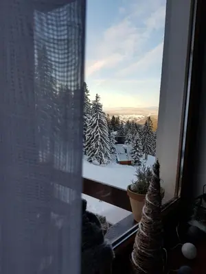 a window with a view of a snow covered forest at Vlasicka avantura Eko Fis 509 in Vlasic