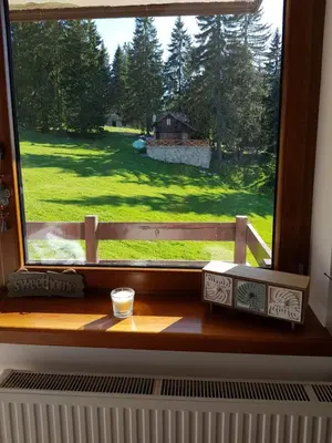 a window with a view of a green yard at Vlasicka avantura Eko Fis 509 in Vlasic