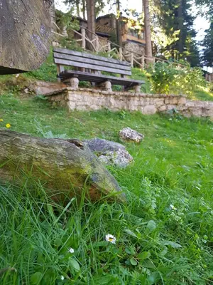 a park bench sitting in a field with grass at Vlasicka avantura Eko Fis 509 in Vlasic