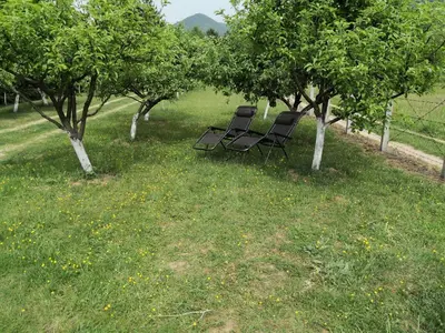 two chairs sitting in the grass under trees at Holiday Home Dragon in Visoko