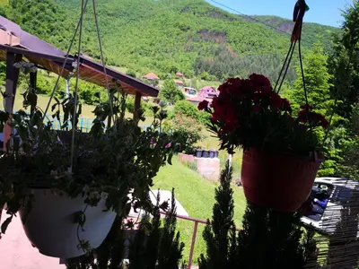 two potted plants hanging from a fence with a mountain at Holiday Home Dragon in Visoko