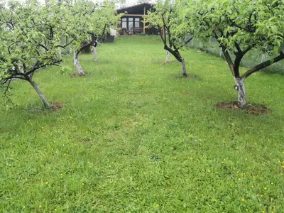 a row of trees in a field of grass at Holiday Home Dragon in Visoko