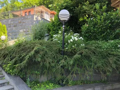 a street light in a garden with a bush at Apartment Nice View in Fojnica