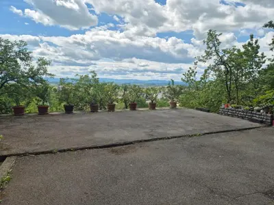 a group of potted plants sitting on top of a parking lot at Apartman Alemina - mirna lokacija blizu centra, priroda i privatnost in Cazin