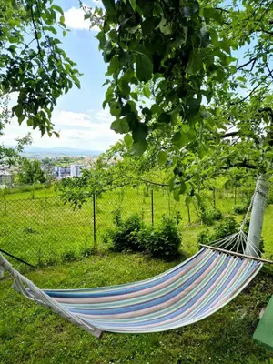 a hammock hanging from a tree in a field at Apartman Alemina - mirna lokacija blizu centra, priroda i privatnost in Cazin
