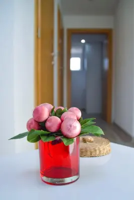 a red vase filled with pink flowers on a table at Apartman “Centar Jajce “ in Jajce