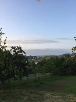 a view from the top of a hill with trees at Dolores in Tešanj