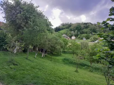 a green field with trees and houses in the background at Dolores in Tešanj