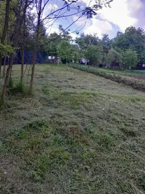 a field of grass with trees in the background at Dolores in Tešanj