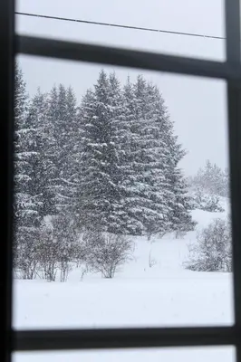 a view of a snow covered tree from a window at Kuća za odmor ANA in Kupres