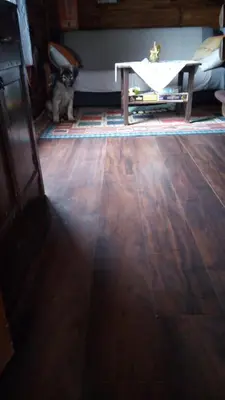 a cat sitting in a living room next to a table at Log Cabins Jovicic in Bosanska Dubica