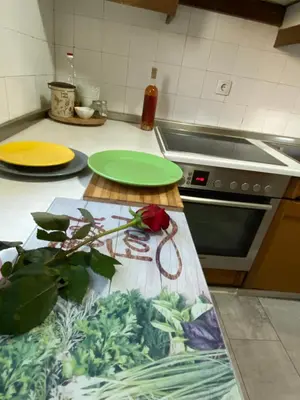 a kitchen counter with a green plate and a plant on it at Dan i noc in Banja Luka