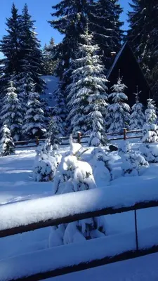 a fence covered in snow with trees in the background at Apartmani Megara Vlasic in Šišava