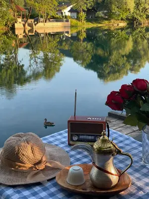 a picnic table with a radio and a hat and roses at Una Luxury Home in Bihać