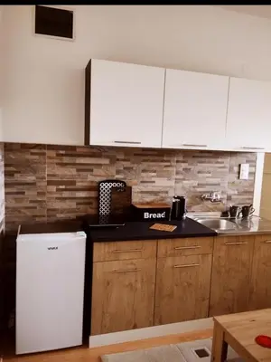 a kitchen with a white refrigerator and a sink at Apartman 053 in Doboj