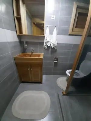 a bathroom with a sink and a toilet and a mirror at Wooden House Ripac in Bihać