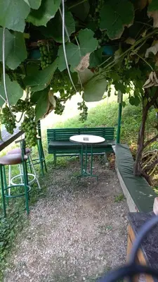 a picnic table and a bench under a tree at Medena oaza mira in Visoko