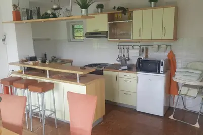 a small kitchen with a counter and a microwave at WOLF'S PLANE Luxury Isolated Mountain House for Digital Nomads in Fojnica