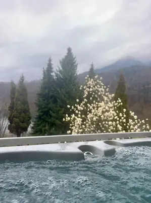 a bush with white flowers in a pool of water at WOLF'S PLANE Luxury Isolated Mountain House for Digital Nomads in Fojnica