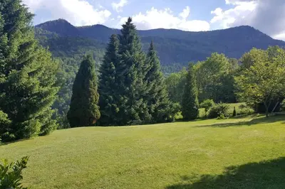 a green field with trees and mountains in the background at WOLF'S PLANE Luxury Isolated Mountain House for Digital Nomads in Fojnica