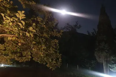 a street light at night with a tree at WOLF'S PLANE Luxury Isolated Mountain House for Digital Nomads in Fojnica
