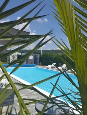 a view of a swimming pool through a palm tree at City villa Bihac in Bihać