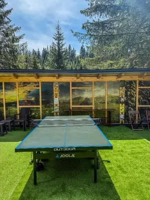 a ping pong table in front of a house at Vila Bašić Vlašić Spa Apartman JELEN in Vlasic