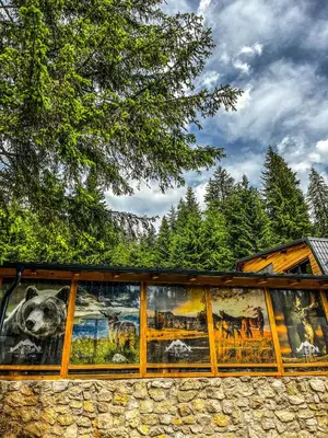 a building with paintings on the side of it at Vila Bašić Vlašić Spa Apartman JELEN in Vlasic