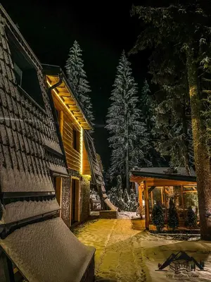 a house at night with snow on the trees at Vila Bašić Vlašić Spa Apartman JELEN in Vlasic