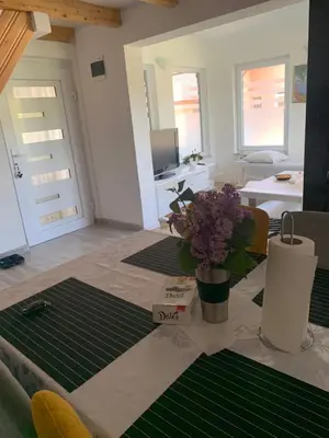 a living room with a table with a vase of flowers at Nisa & De Apartmani in Bihać