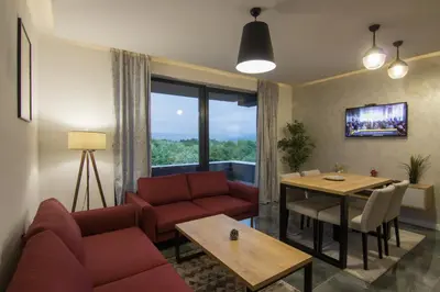 a living room with a couch and a table at Deluxe Feliciano Apartments in Visoko