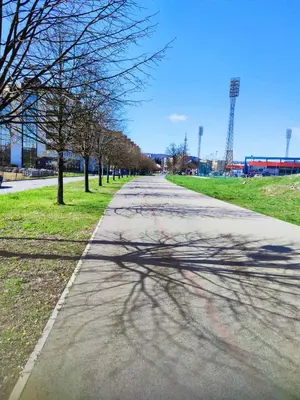 an empty street with trees on the side of the road at Loft Lux in Banja Luka