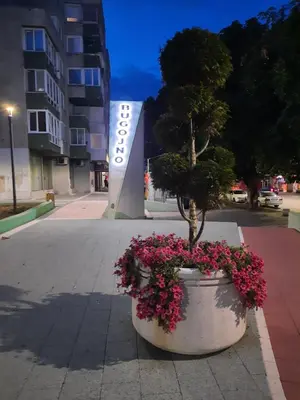 a potted tree in a large pot with pink flowers at Apartment Lamele Bugojno in Bugojno
