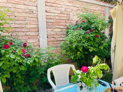 a table and chair in front of a brick wall with roses at Apartman Indira in Visoko
