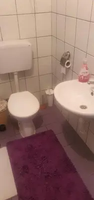 a bathroom with a toilet and a sink and a purple rug at MIMA in Jajce