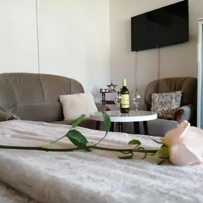Studio Apartman Sun