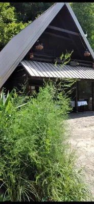 a building with a metal roof and some plants at Apartmani Dada Kanjon Grmuša in Bihać