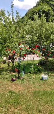 a garden with trees and flowers in a yard at Apartmani Dada Kanjon Grmuša in Bihać