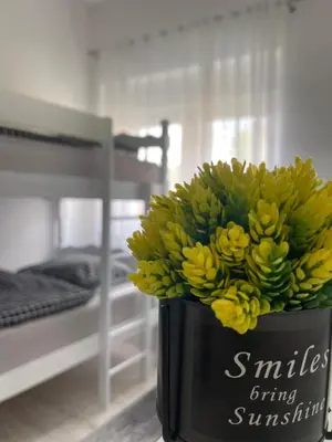 a bouquet of yellow bananas in a black container at Apartman Kis in Jajce