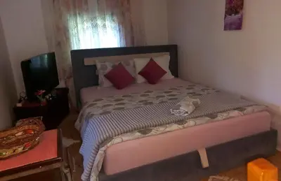 a bedroom with a large bed with red pillows at Family house in Visoko