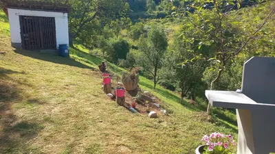 a couple of people standing in a yard with trees at Family house in Visoko