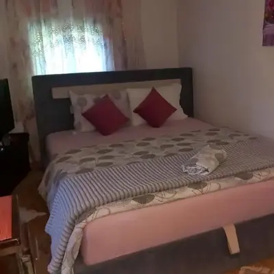 Family house