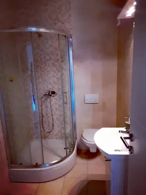 a bathroom with a shower and a toilet and a sink at Apartment CITY in Doboj